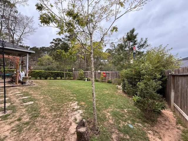 40654 Goldeneye Place, Magnolia, TX 77354