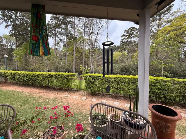 40654 Goldeneye Place, Magnolia, TX 77354