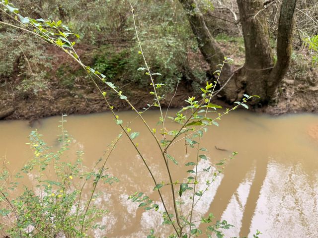 40654 Goldeneye Place, Magnolia, TX 77354