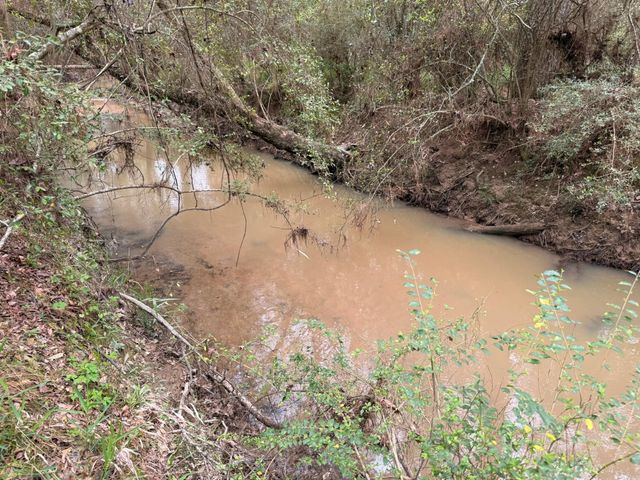 40654 Goldeneye Place, Magnolia, TX 77354