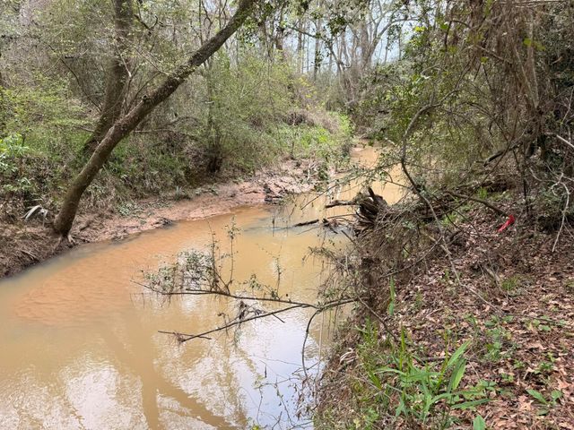 40654 Goldeneye Place, Magnolia, TX 77354