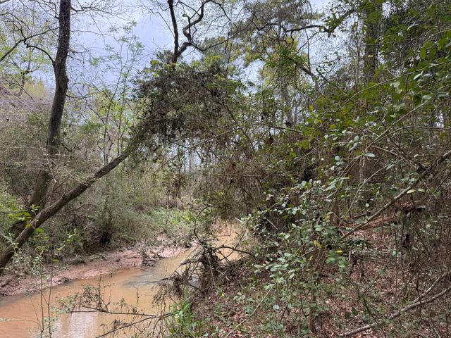 40654 Goldeneye Place, Magnolia, TX 77354