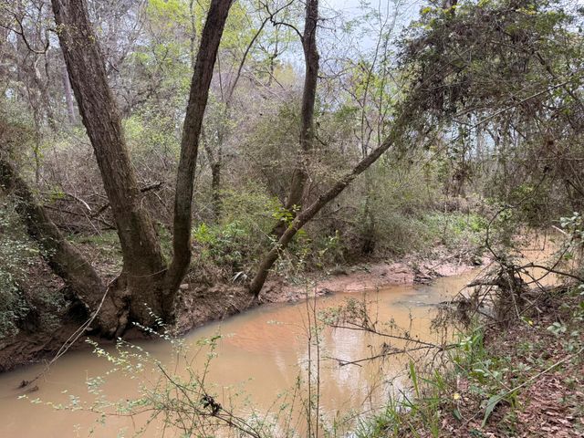 40654 Goldeneye Place, Magnolia, TX 77354