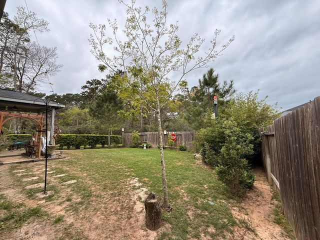 40654 Goldeneye Place, Magnolia, TX 77354