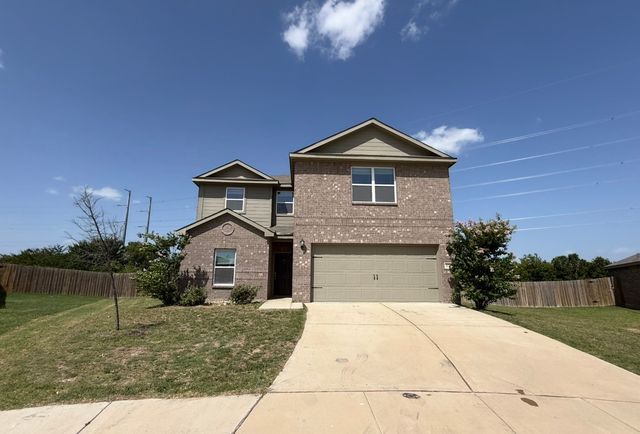 176 Banjo Trail, Newark, TX 76071