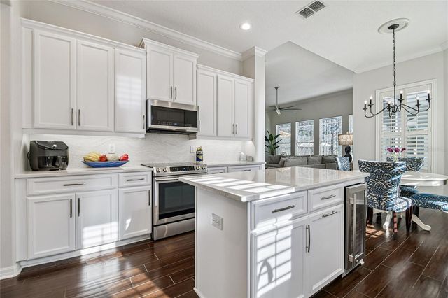 14617 TUDOR CHASE DRIVE, Tampa, FL 33626