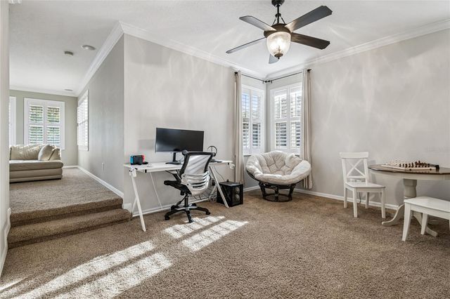 14617 TUDOR CHASE DRIVE, Tampa, FL 33626