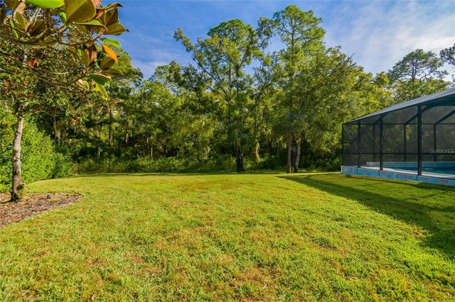 14617 TUDOR CHASE DRIVE, Tampa, FL 33626