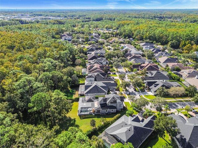 14617 TUDOR CHASE DRIVE, Tampa, FL 33626