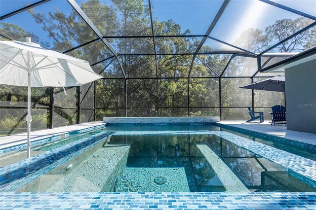 14617 TUDOR CHASE DRIVE, Tampa, FL 33626