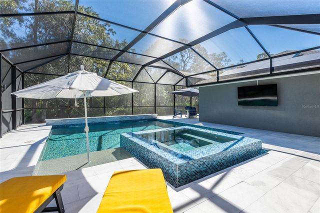 14617 TUDOR CHASE DRIVE, Tampa, FL 33626