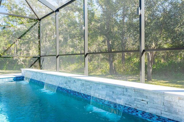 14617 TUDOR CHASE DRIVE, Tampa, FL 33626