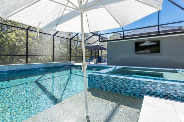 14617 TUDOR CHASE DRIVE, Tampa, FL 33626