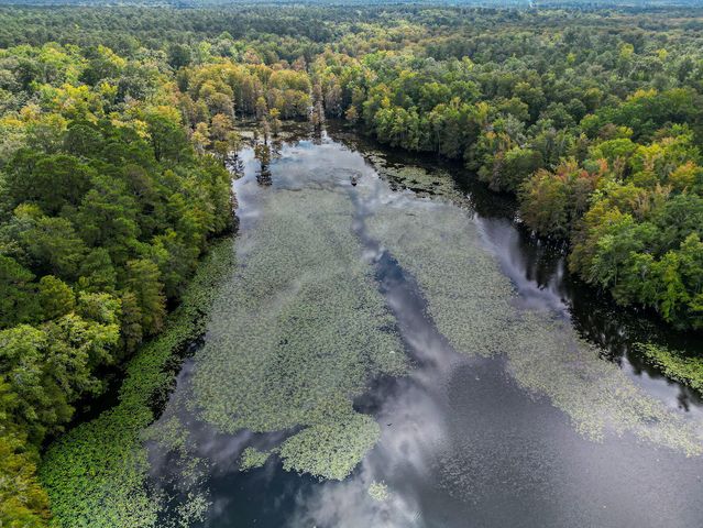 138 Twisted Oak Trail, Elloree, SC 29047