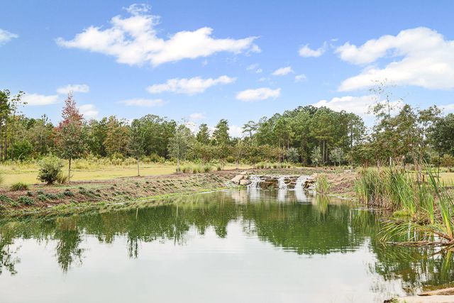 138 Twisted Oak Trail, Elloree, SC 29047