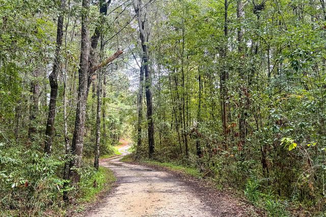 138 Twisted Oak Trail, Elloree, SC 29047