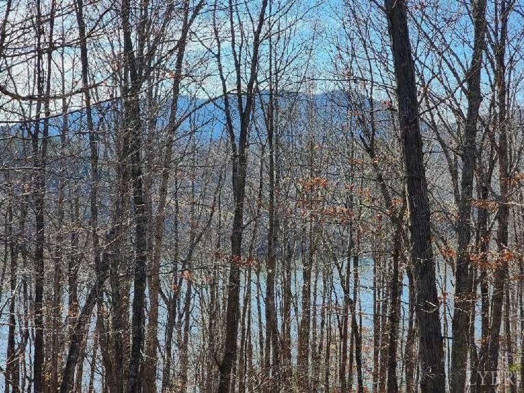 0 Robin Ridge Court, Pittsville, VA 24139