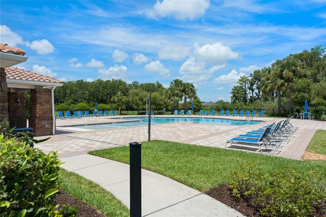 12055 SCRUB PALM LANE, Orlando, FL 32824