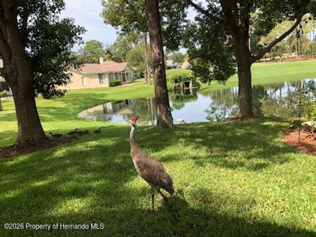 7182 Big Bend Drive, Spring Hill, FL 34606