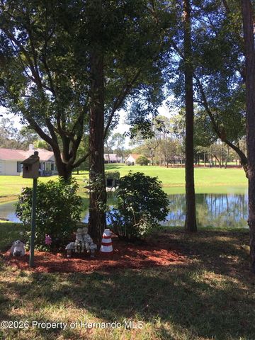 7182 Big Bend Drive, Spring Hill, FL 34606