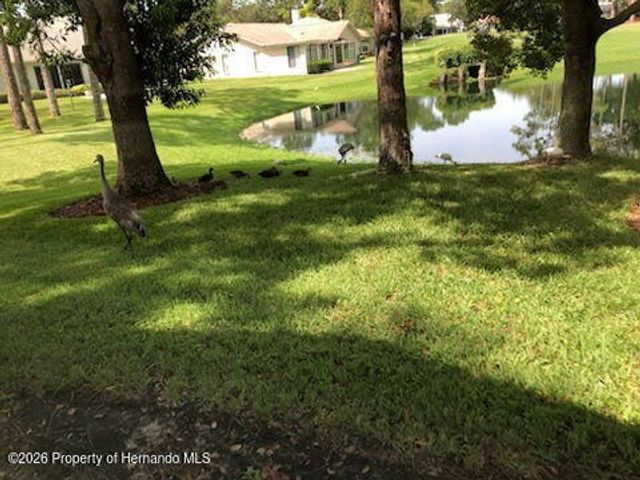 7182 Big Bend Drive, Spring Hill, FL 34606