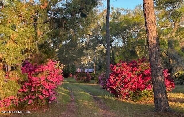 751 N HIGHWAY 17, Palatka, FL 32177