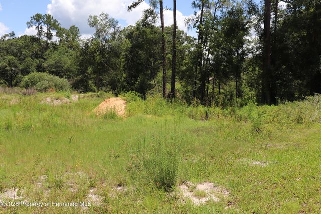 0 BEDSTONE Drive, Webster, FL 33597