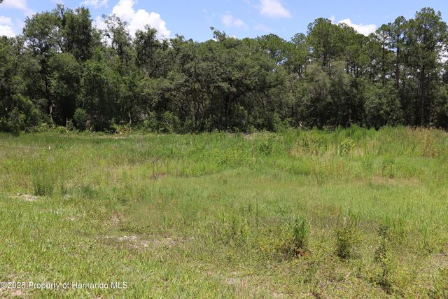 0 BEDSTONE Drive, Webster, FL 33597