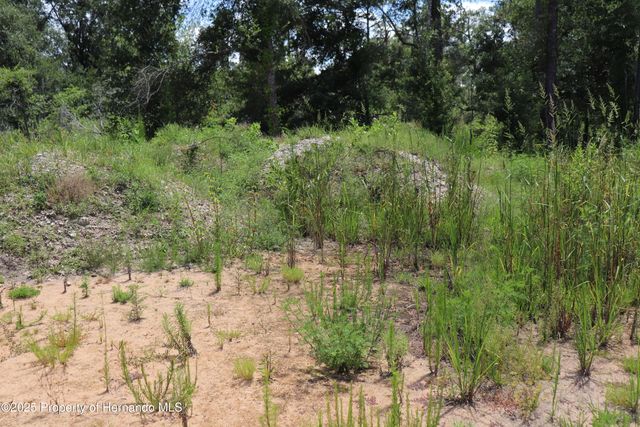 0 BEDSTONE Drive, Webster, FL 33597