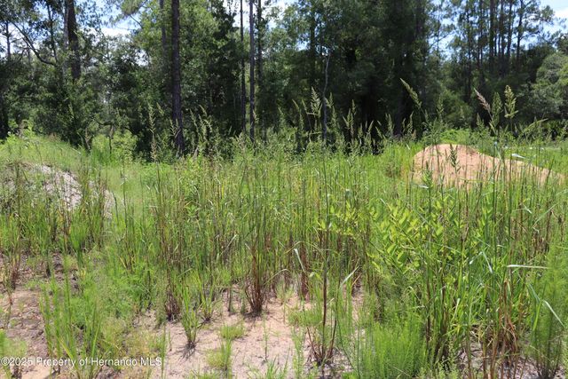 0 BEDSTONE Drive, Webster, FL 33597
