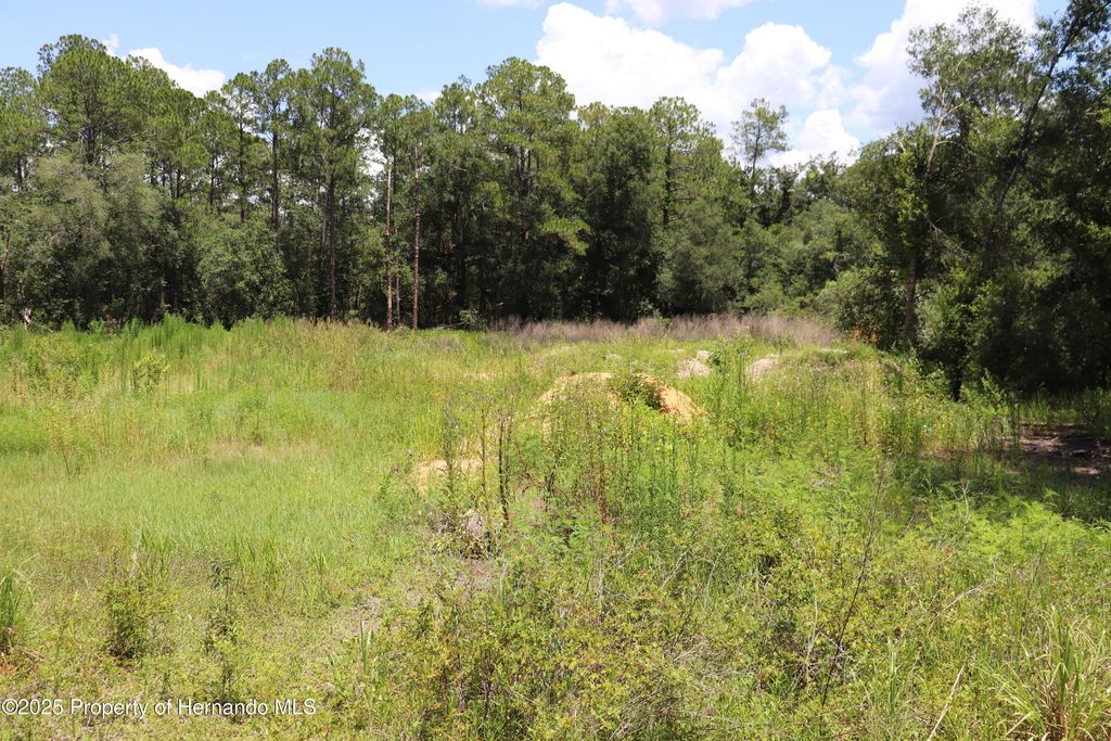 0 BEDSTONE Drive, Webster, FL 33597