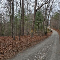 8.5 Blue Berry Ridge, Morganton, GA 30560