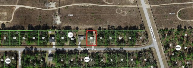 2745 W Redgate Drive, Dunnellon, FL 34433