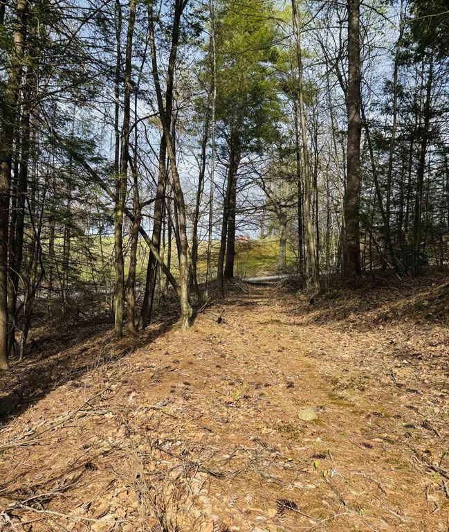 Lot F-84 McGettigan Road, Wilton, NH 03086