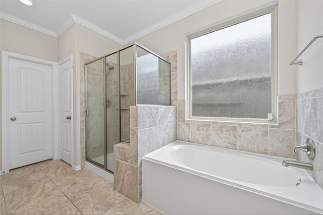 23410 Banksia Drive, New Caney, TX 77357