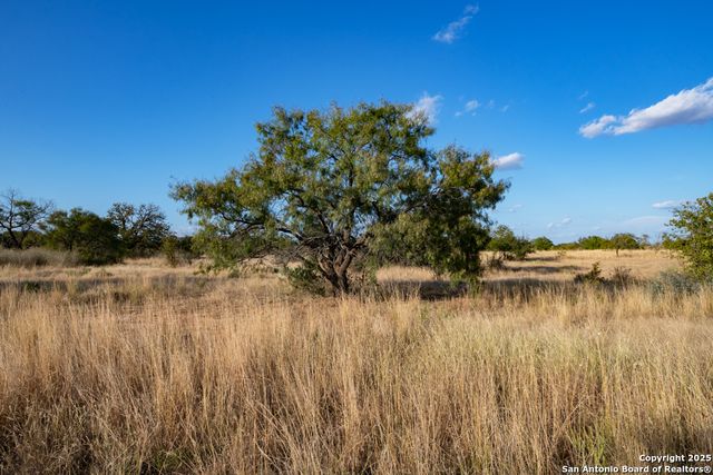 12805 Blackjack Rd, Mason, TX 76842