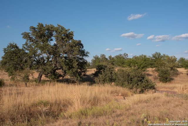 12805 Blackjack Rd, Mason, TX 76842