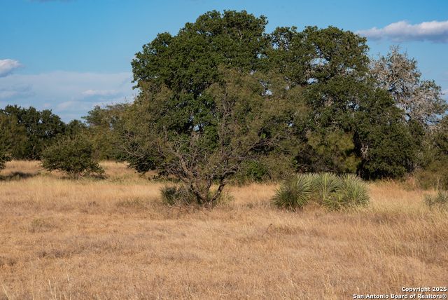 12805 Blackjack Rd, Mason, TX 76842