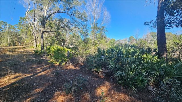 43734 WEST LANE, Paisley, FL 32767