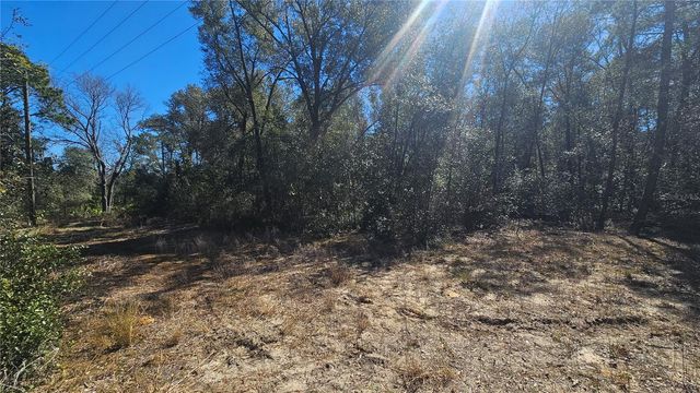 43734 WEST LANE, Paisley, FL 32767