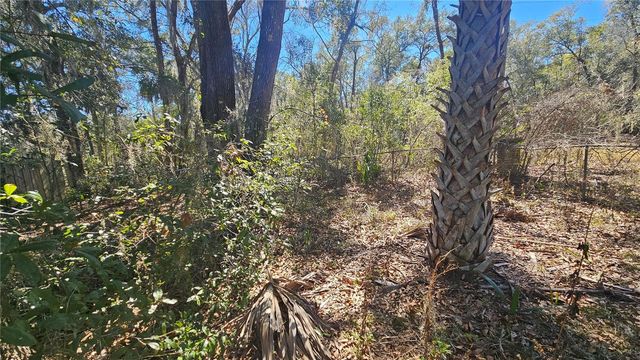 43734 WEST LANE, Paisley, FL 32767