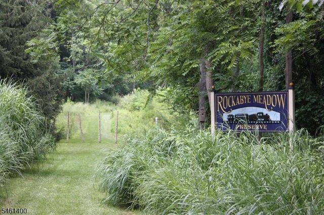 4 Brook Hollow Rd, Peapack Gladstone Boro, NJ 07934