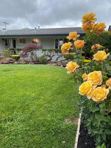 873 Cottonwood Drive, Cupertino, CA 95014
