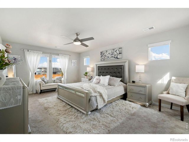 4433 Haymill Court, Timnath, CO 80547