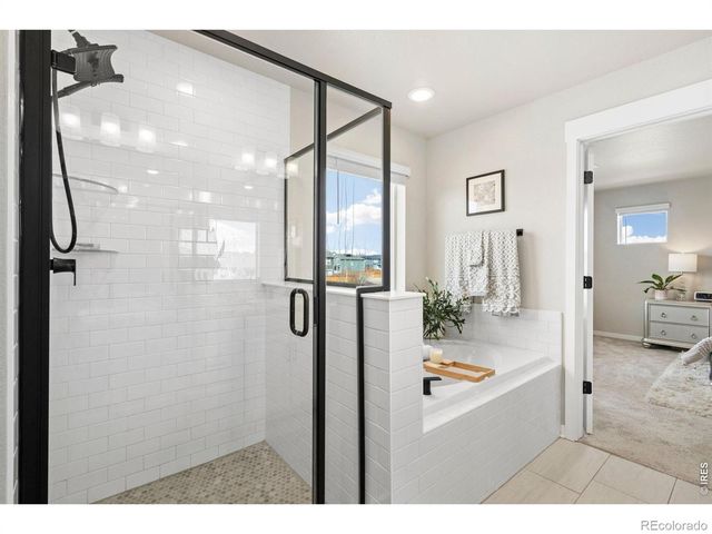 4433 Haymill Court, Timnath, CO 80547