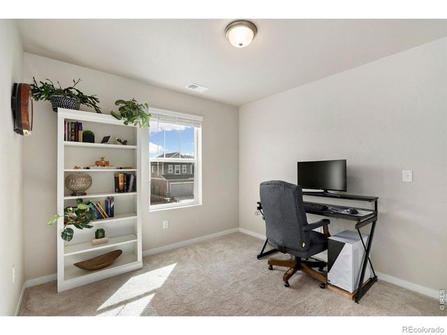 4433 Haymill Court, Timnath, CO 80547