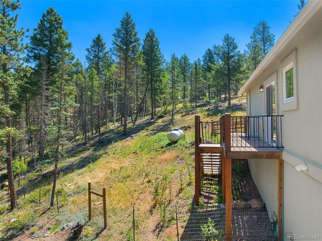 2775 Pathfinder Road, Florissant, CO 80816