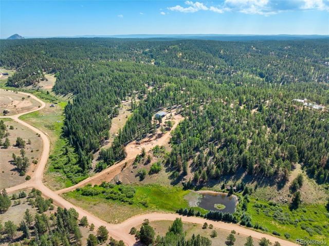 2775 Pathfinder Road, Florissant, CO 80816
