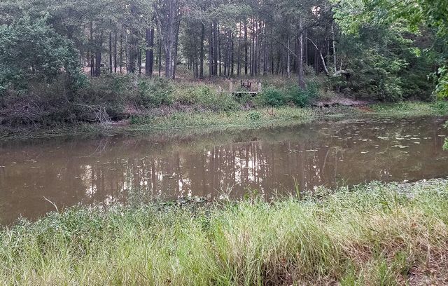 200 Laurel, Onalaska, TX 77360