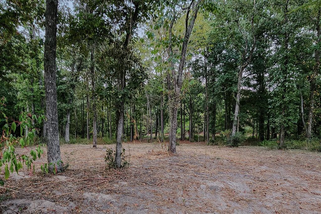 200 Laurel, Onalaska, TX 77360